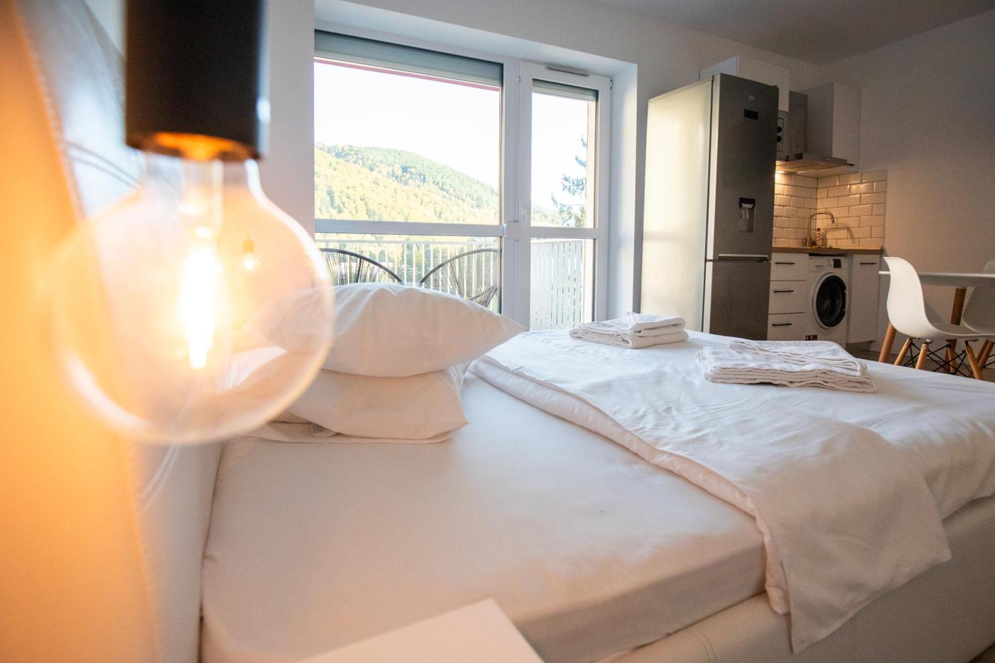 Cozy Studio 4 People With Parking Sinaia Exterior photo